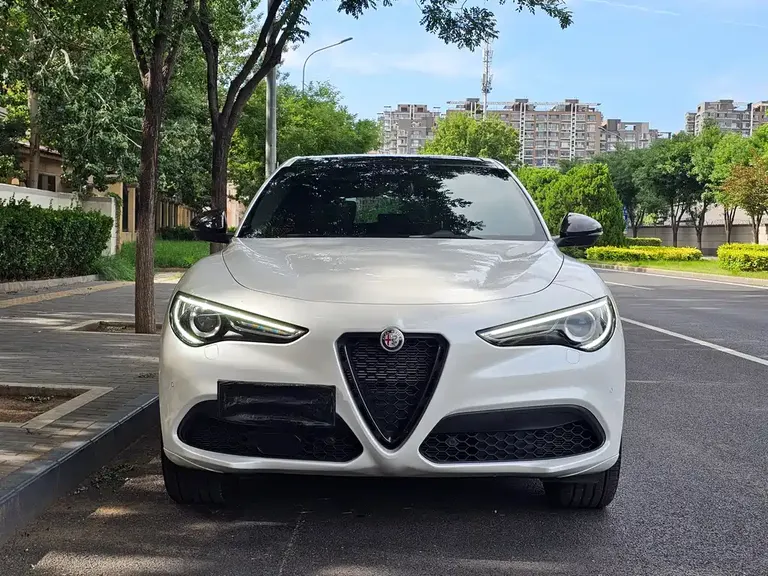 Alfa Romeo Stelvio Stelvio斯坦维 2021款 2.0 T 280 HP Veloce Ti 竞速版