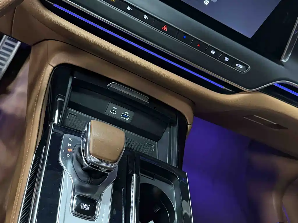 Hongqi H9 红旗H9 2025款 2.0 T 两驱旗畅豪华商务版 5座