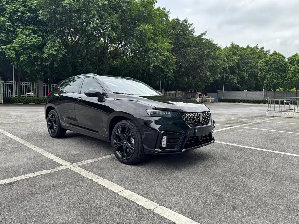 WEY VV7 2.0 T Flagship