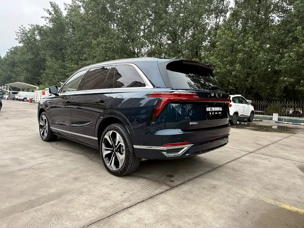 WEY Blue Mountain 4 WD Max