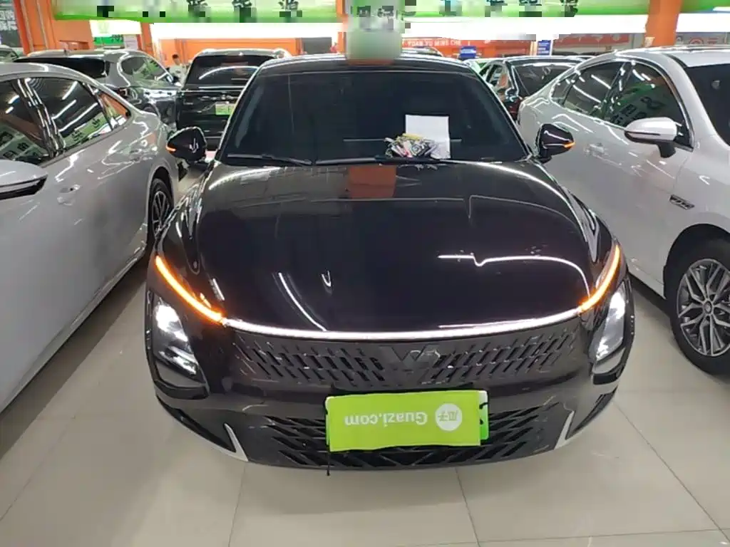 Wuling Starlight 70 km Intelligent Standard