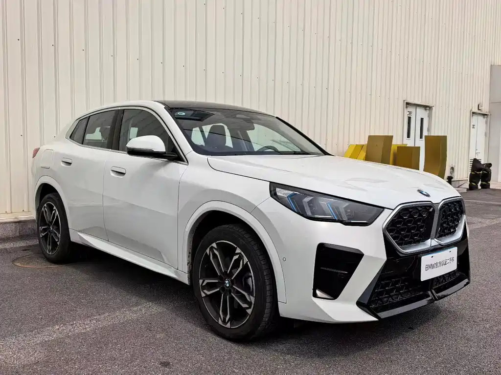 BMW X2 (Import) sDrive25 i M Sport Package