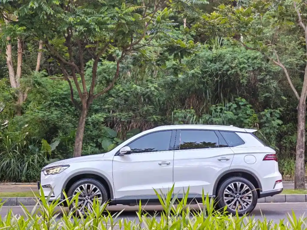 Song Pro NEV DM 1.5 T 4 WD Performance Luxury
