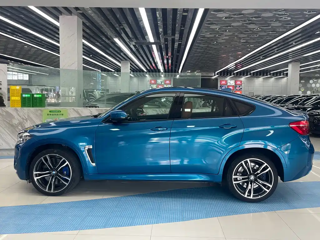 BMW X6 M