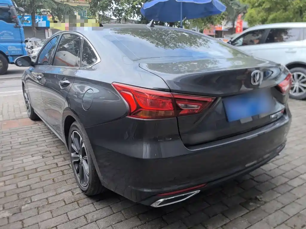 Ruicheng CC Blue Whale 1.5 T DCT Luxury