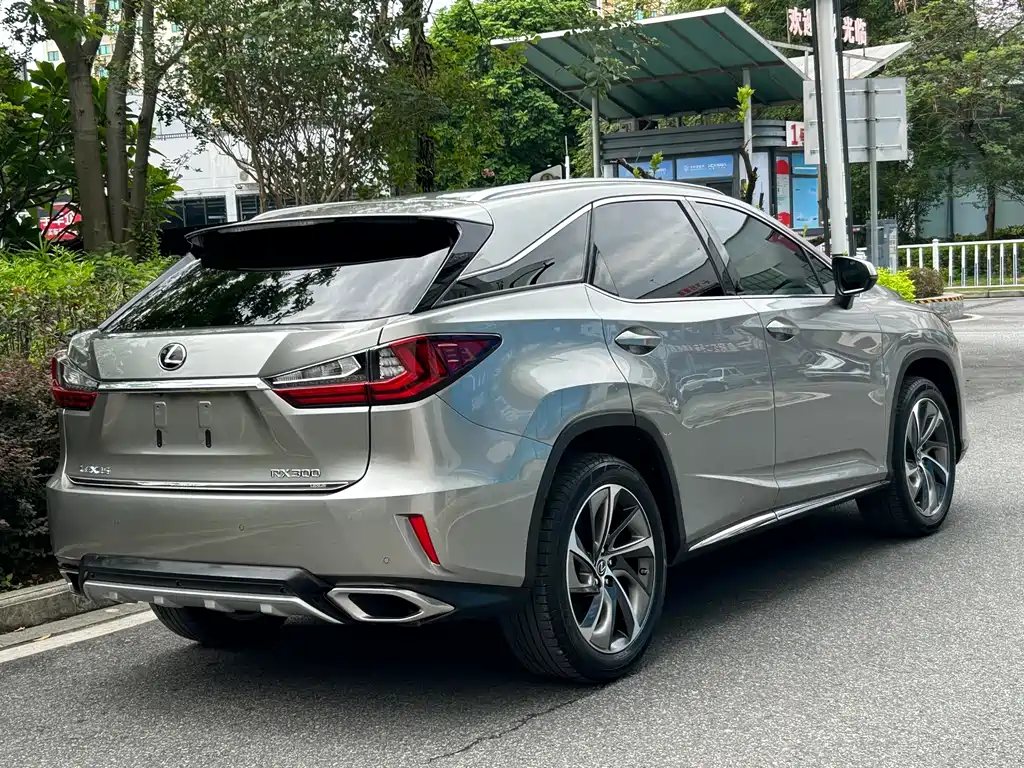 Lexus RX 300 4 WD Elegant CN-V