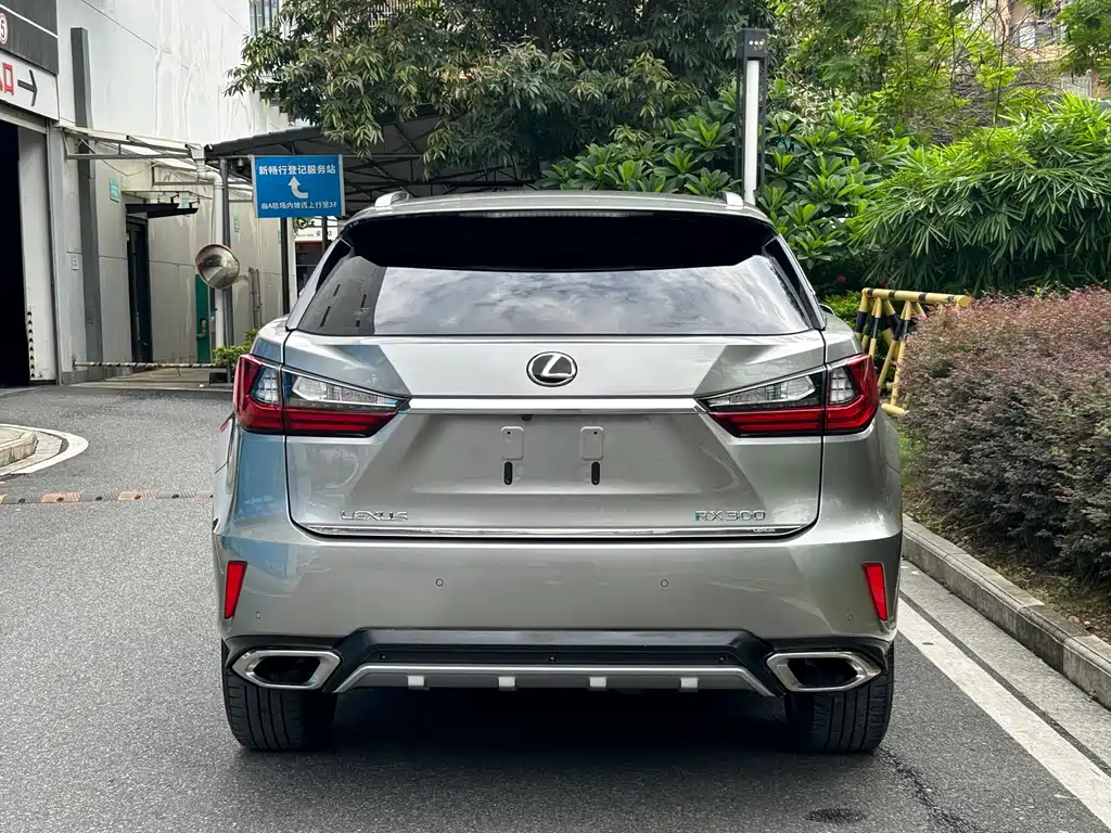 Lexus RX 300 4 WD Elegant CN-V