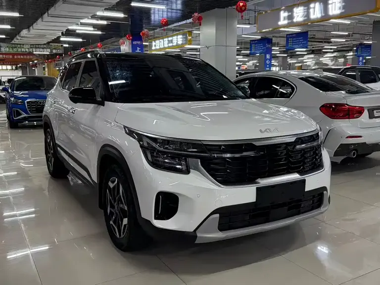 Kia Seltos 1.5 L CVT Distinguished