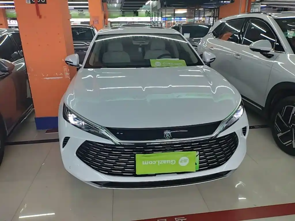 Qin L DM-i 120 KM Transcend