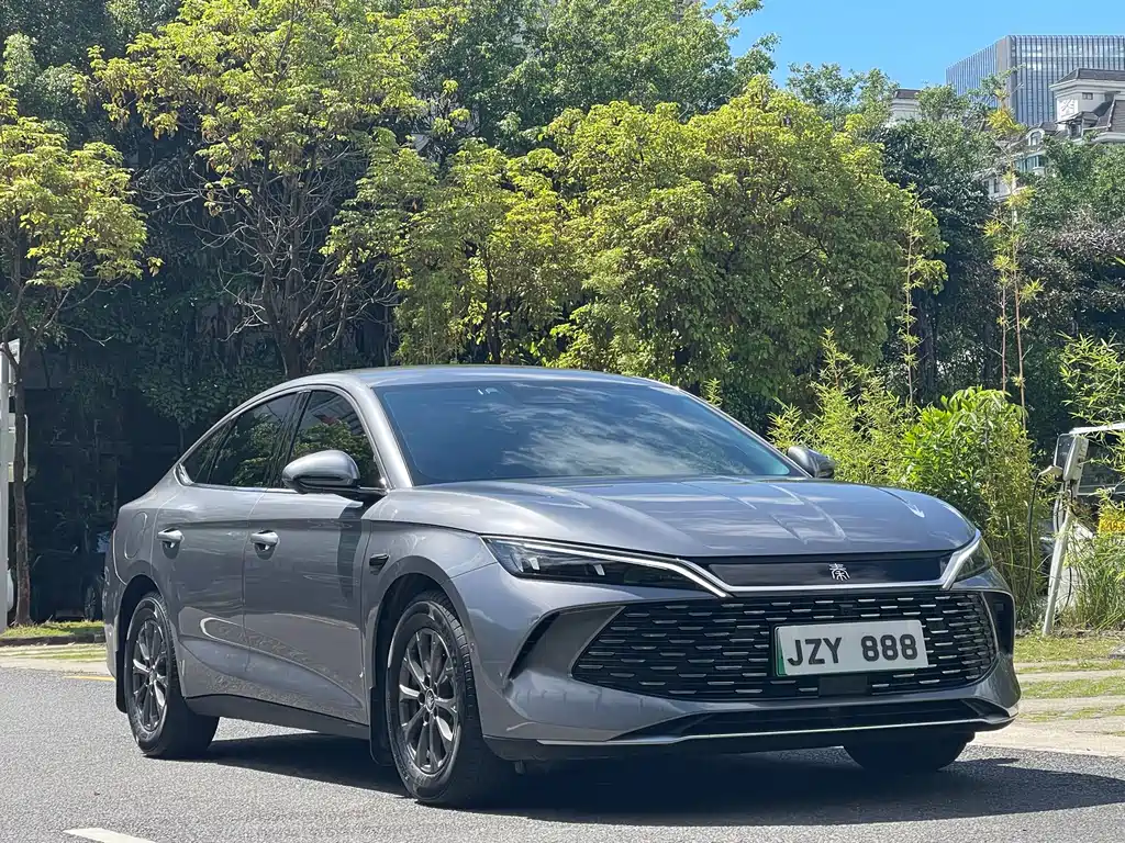 Qin L DM-i Smart Drive 80 KM Leading