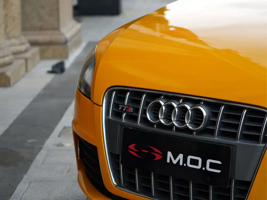 Audi TTS 奥迪TTS 2008款 TTS Roadster 2.0 TFSI quattro