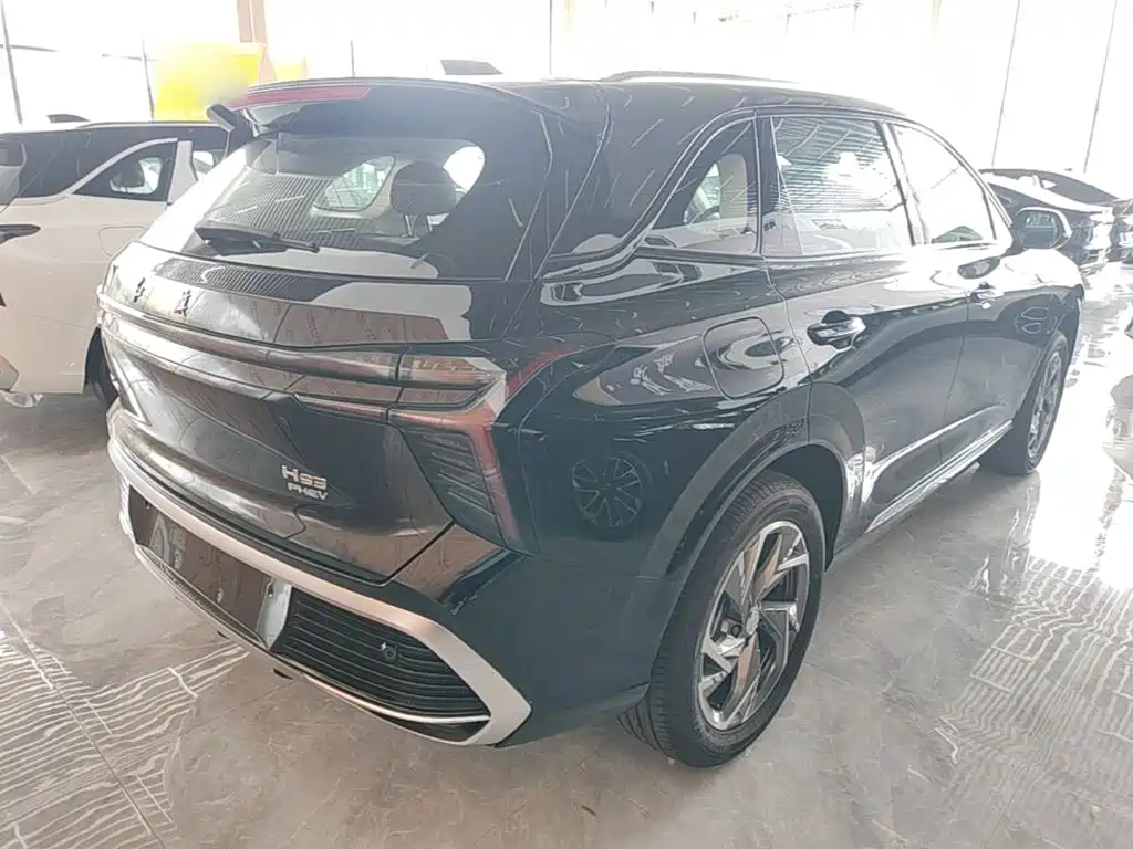 Hongqi HS3 PHEV 125 km Power Action 200 10 K Commemorative