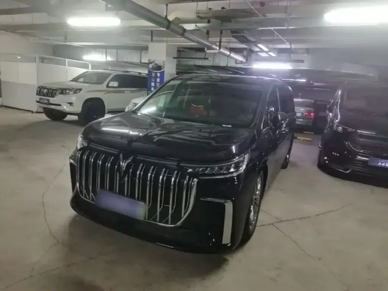 Voyah Dreamer PHEV Ultra Long Range Flagship