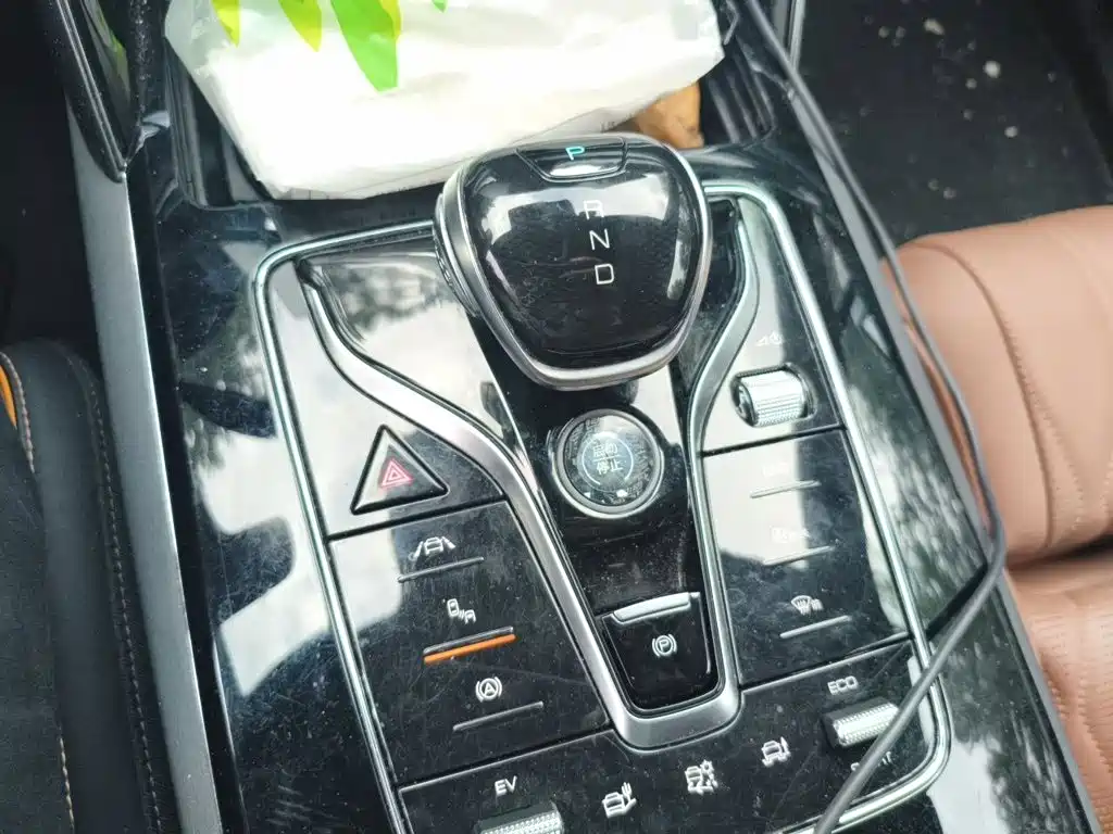 Tang NEV DM 2.0 T 4 WD High Performance Genesis Flagship