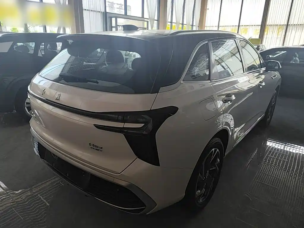 Hongqi HS3 PHEV 125 km Power Action 200 10 K Commemorative