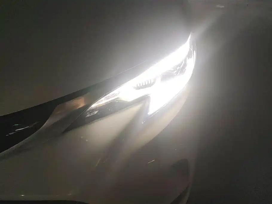 Granvia 2.5 L Hybrid Distinguished PLUS 4 WD