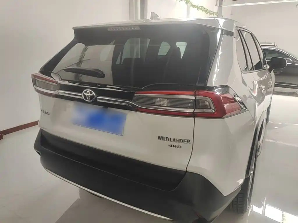 Wildlander 2.0 L CVT 4 WD Luxury