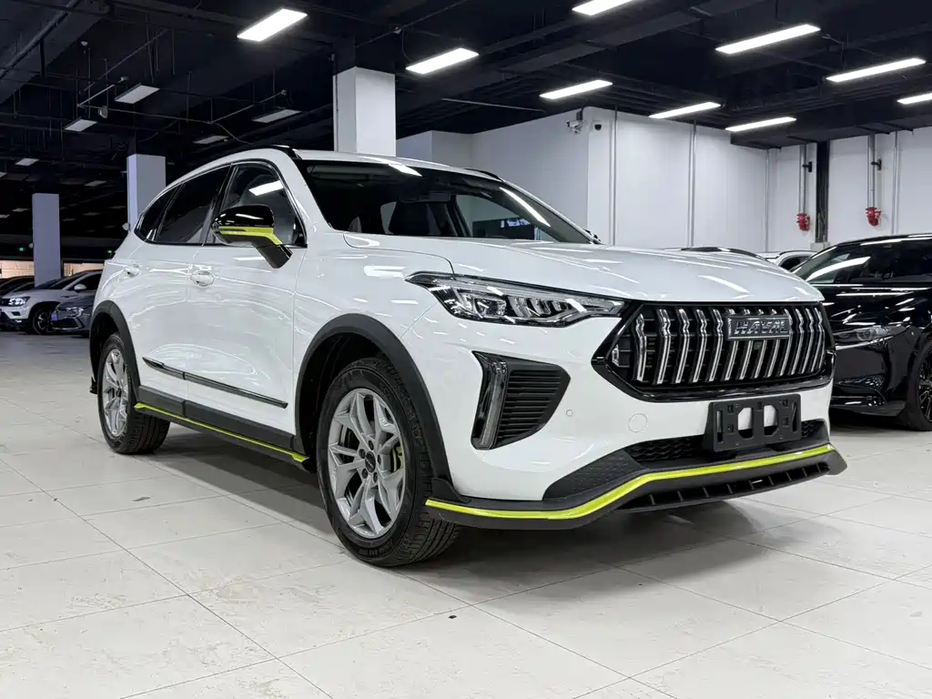 Haval Chitu Power Enjoyment 1.5 T Bronze Rabbit