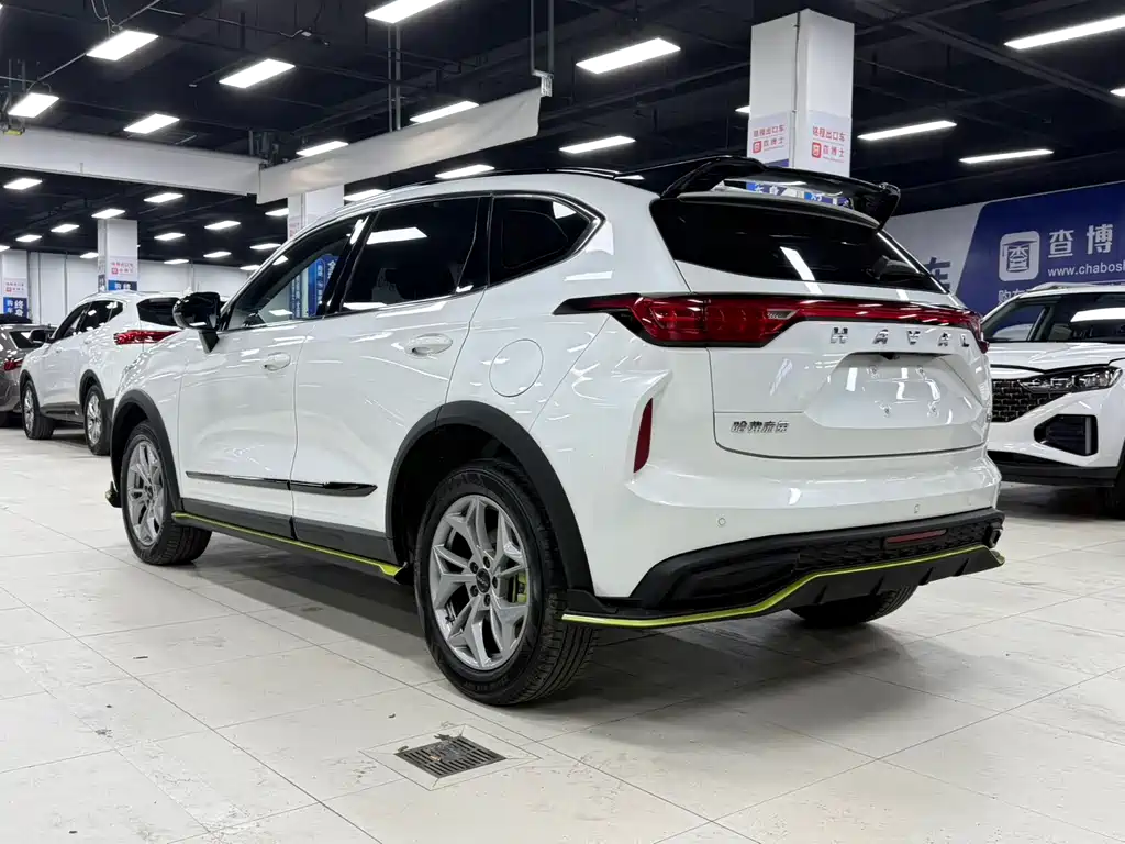 Haval Chitu Power Enjoyment 1.5 T Bronze Rabbit