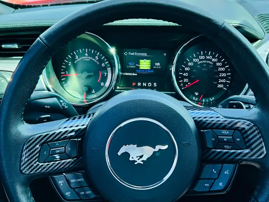 Mustang 2.3 T Performance