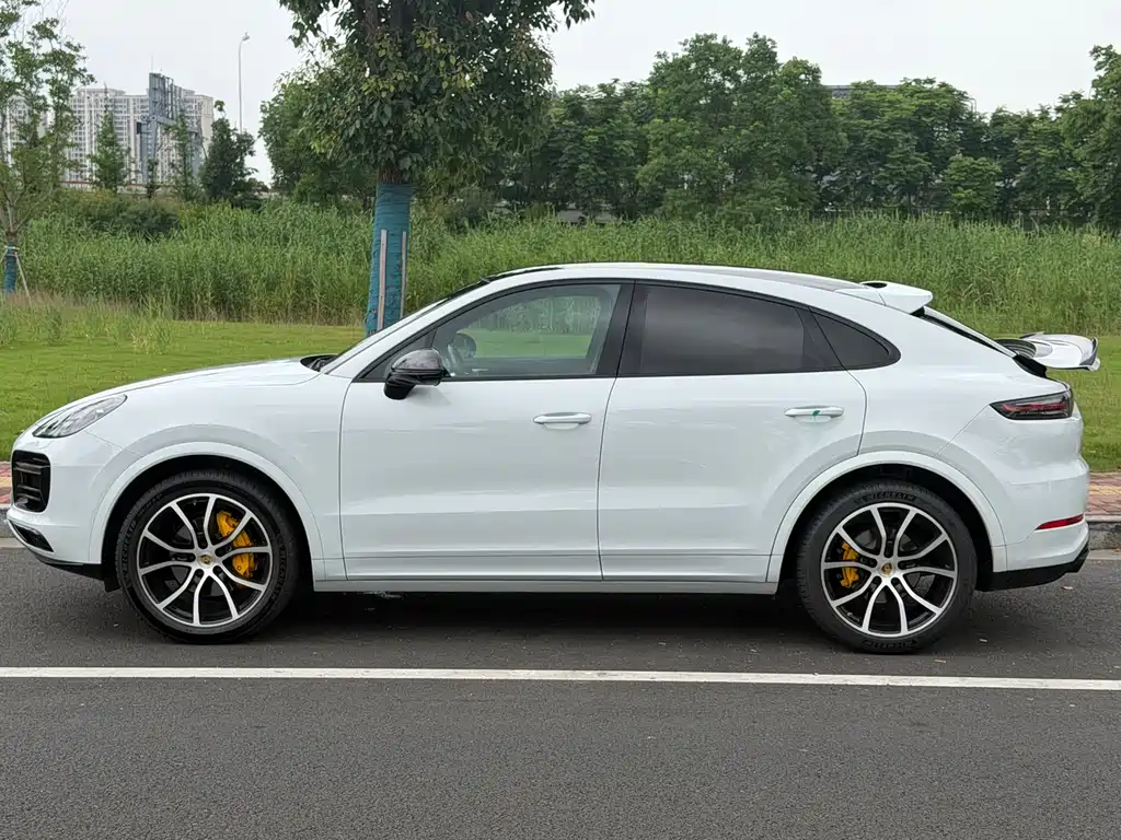Cayenne Cayenne Coupé 3.0 T Platinum
