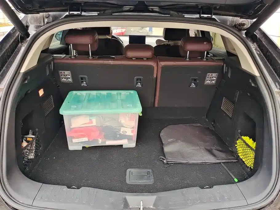 WEY VV5 2.0 T Super Luxury