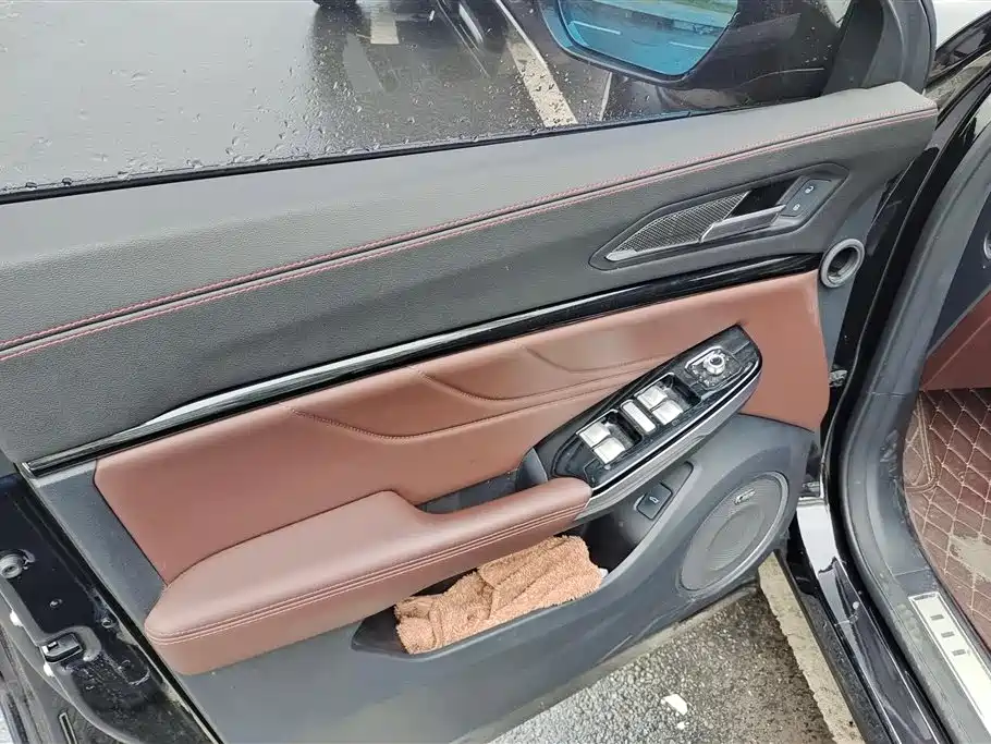 WEY VV5 2.0 T Super Luxury