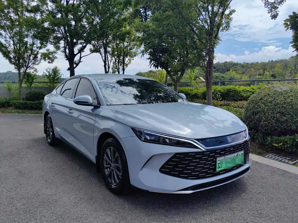 Qin L DM-i 80 KM Leading