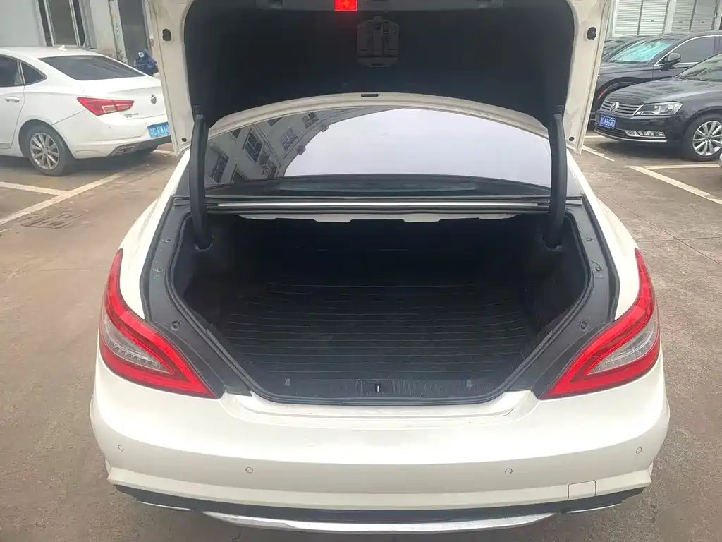 Mercedes-Benz CLS CLS 300 CGI