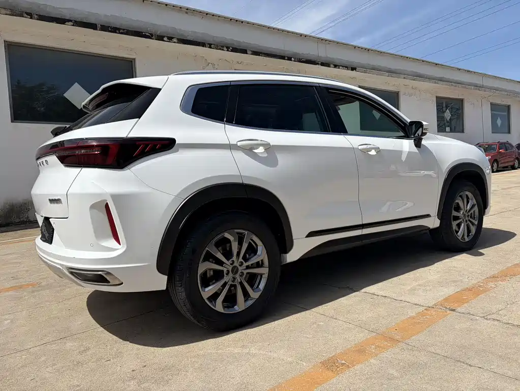 Exeed Zhuifeng Ride the Wave 1.5 T CVT Good Fortune Peanut
