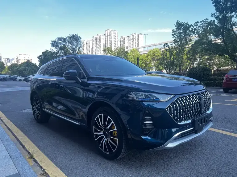 WEY Mocha 2.0 T 4 WD Pure
