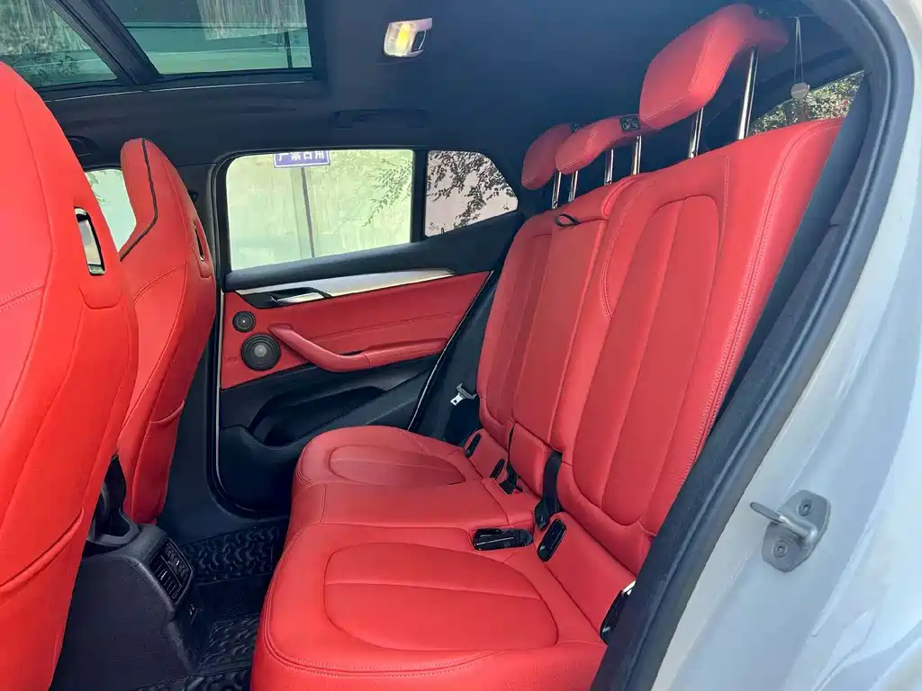 BMW X2 sDrive25 i Premium M Sport Package