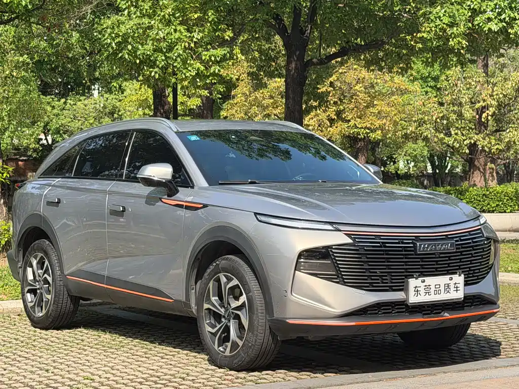 Haval Shenshou 1.5 T Smart Enjoyment