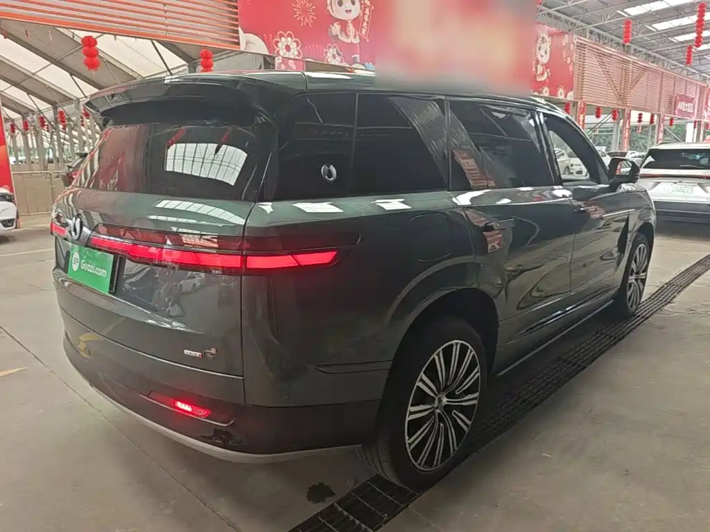 Denza N9 Flagship