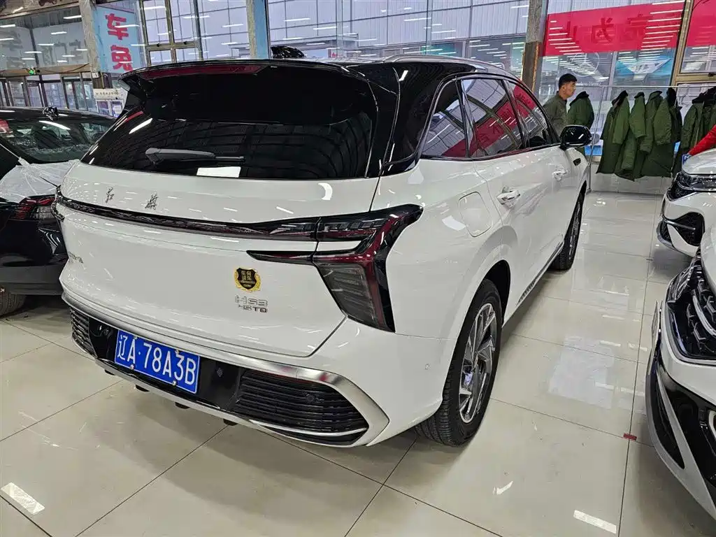 Hongqi HS3 2.0 T 4 WD Promising