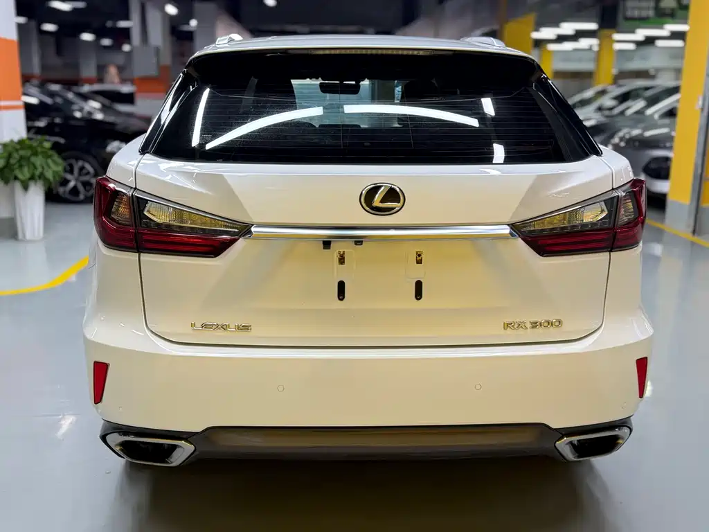 Lexus RX 300 2 WD Elite CN-V