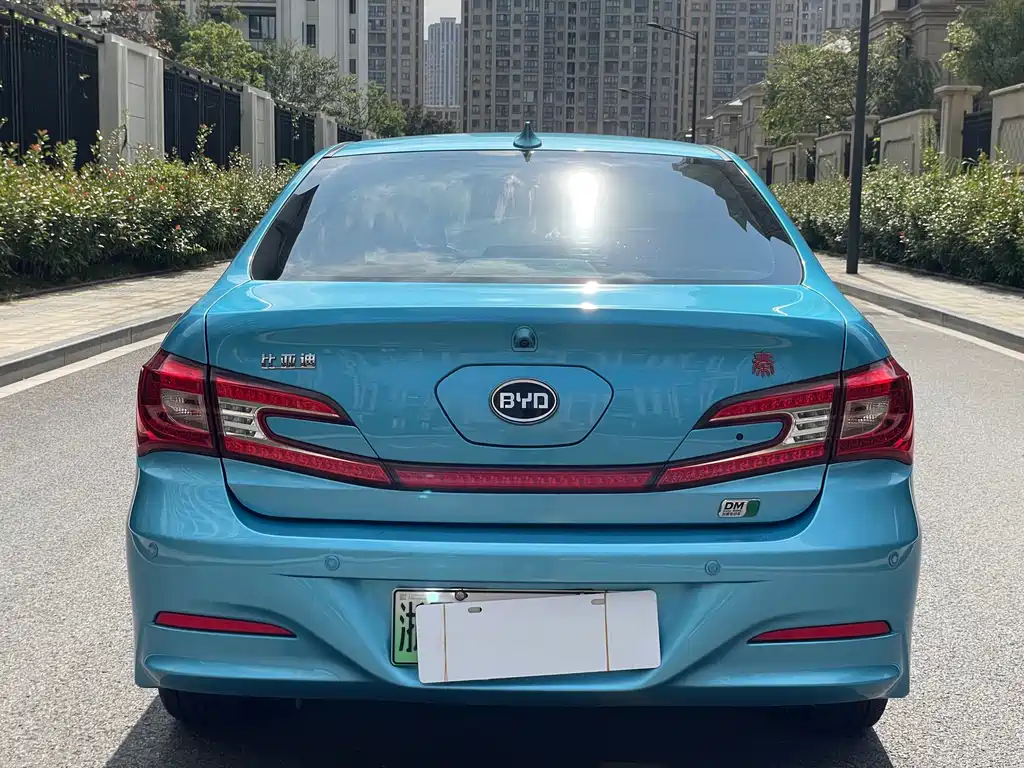 Qin NEV 1.5 T Dual Crown Flagship Plus