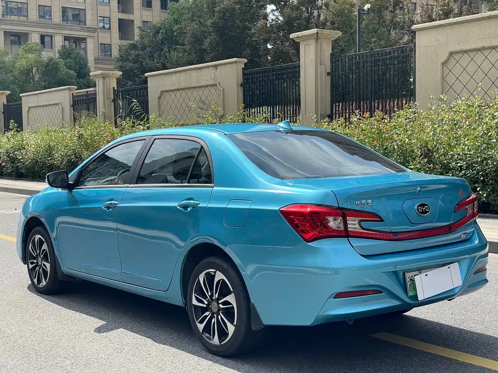 Qin NEV 1.5 T Dual Crown Flagship Plus