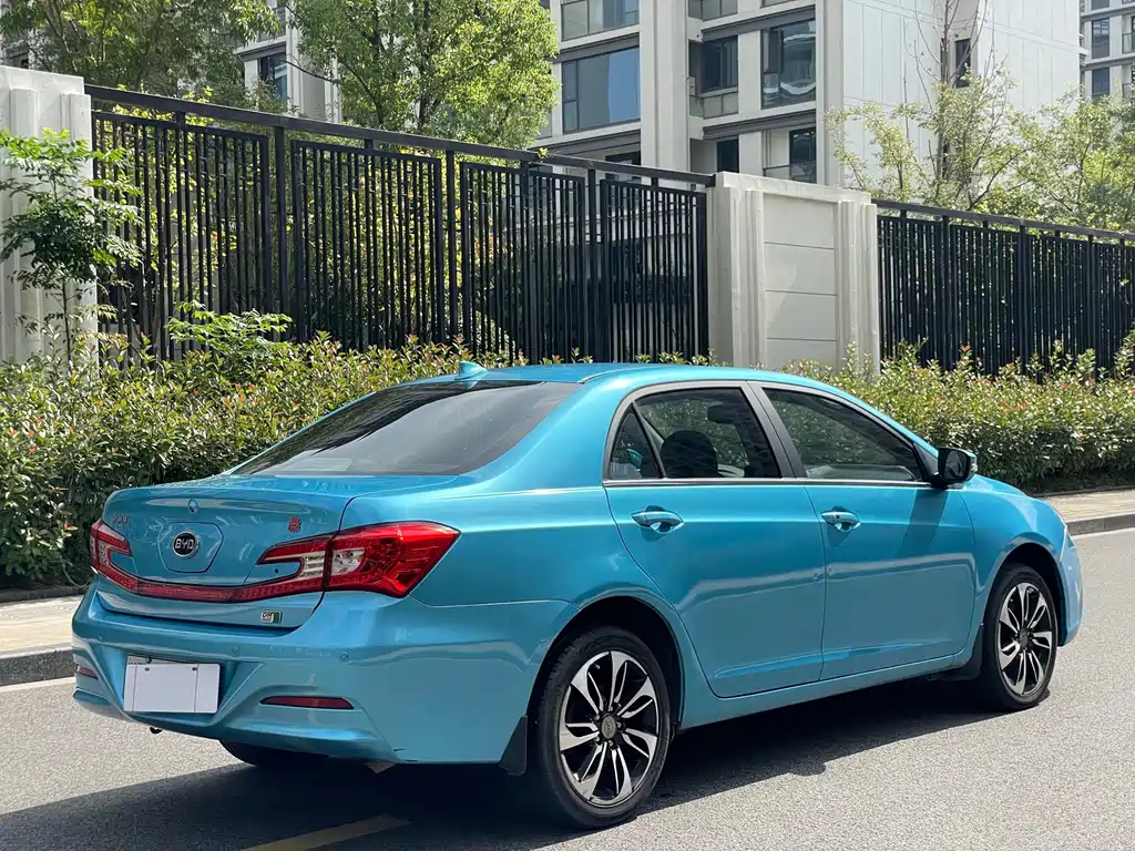 Qin NEV 1.5 T Dual Crown Flagship Plus