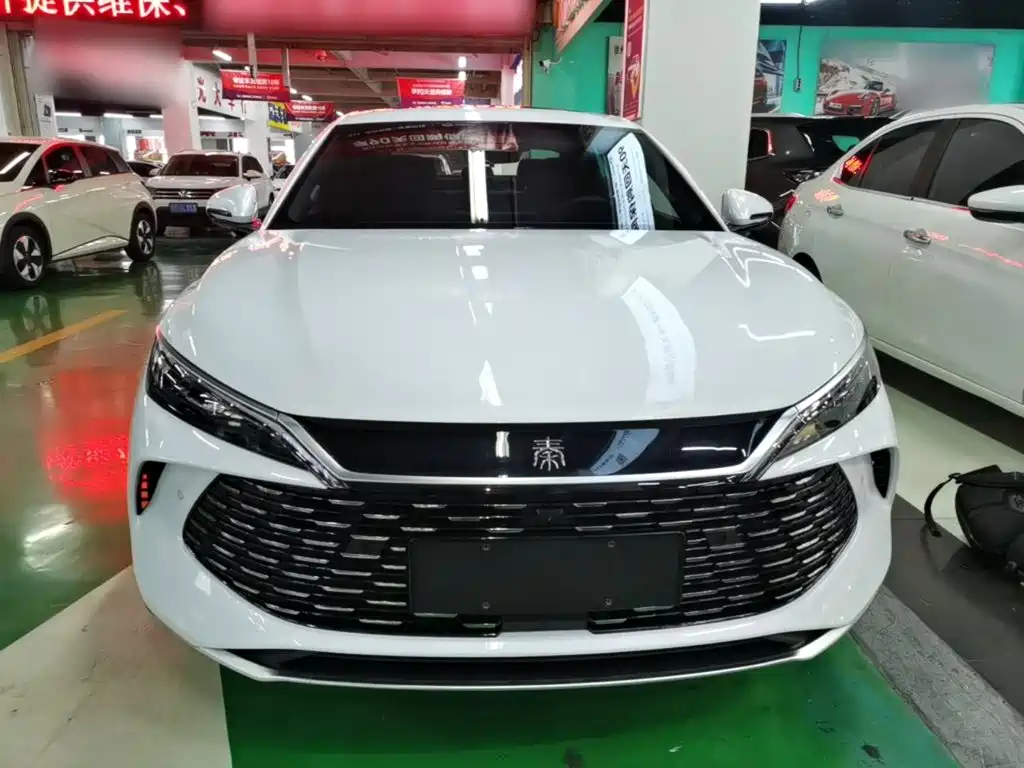 Qin L DM-i Smart Drive 120 KM Transcend