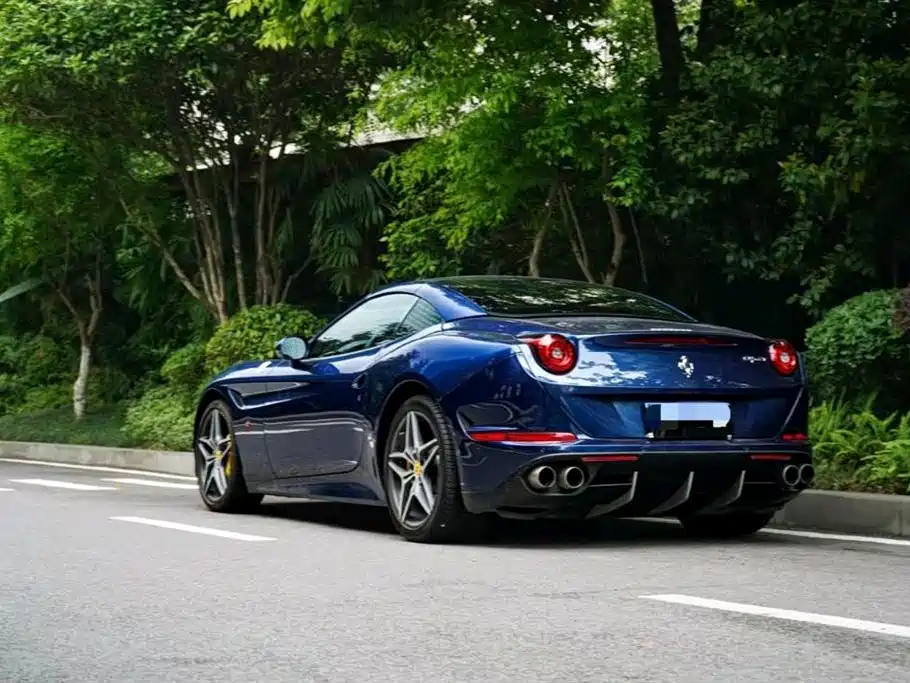 California T 3.9 T Standard