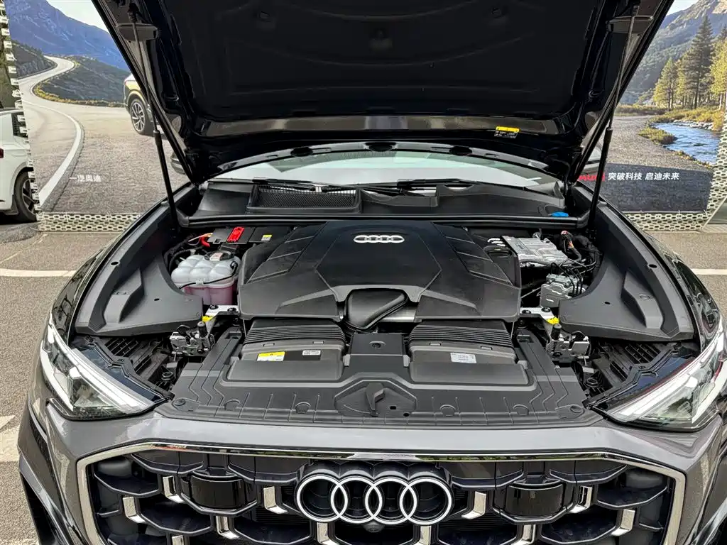 Audi Q8 55 TFSI Luxury Dynamic