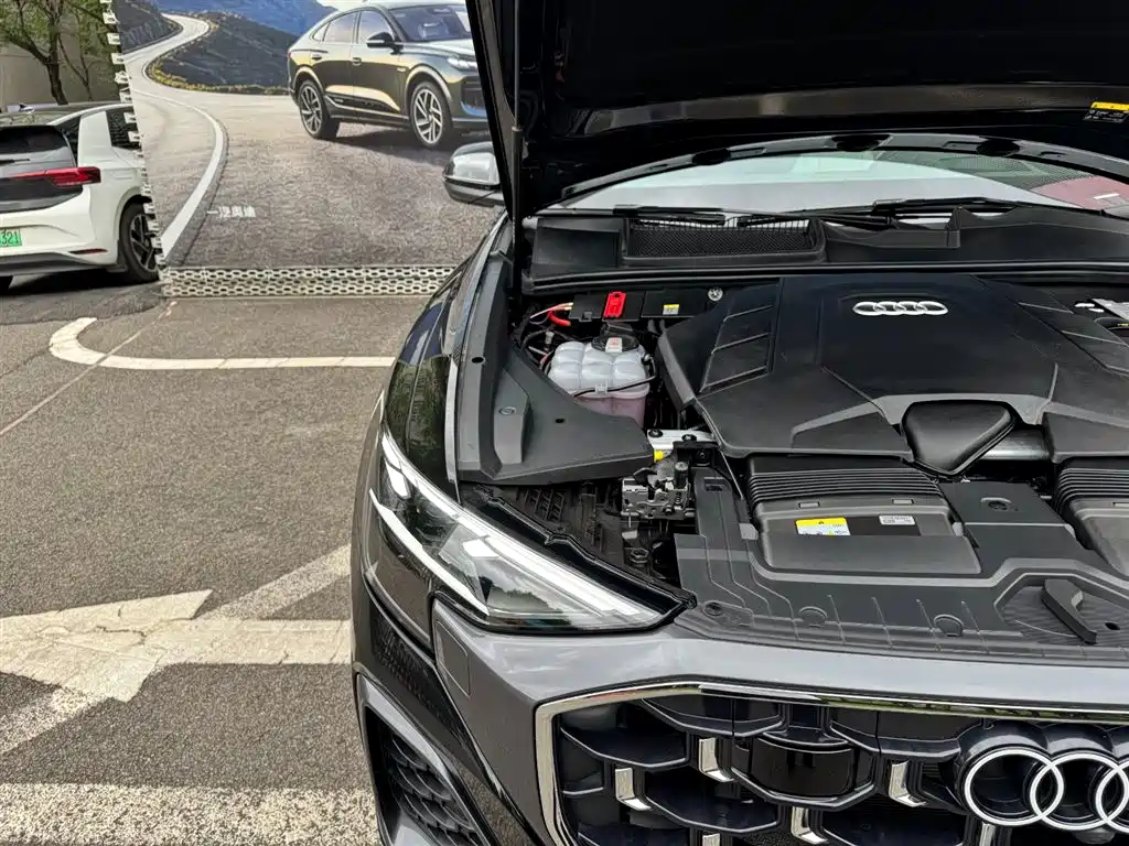 Audi Q8 55 TFSI Luxury Dynamic