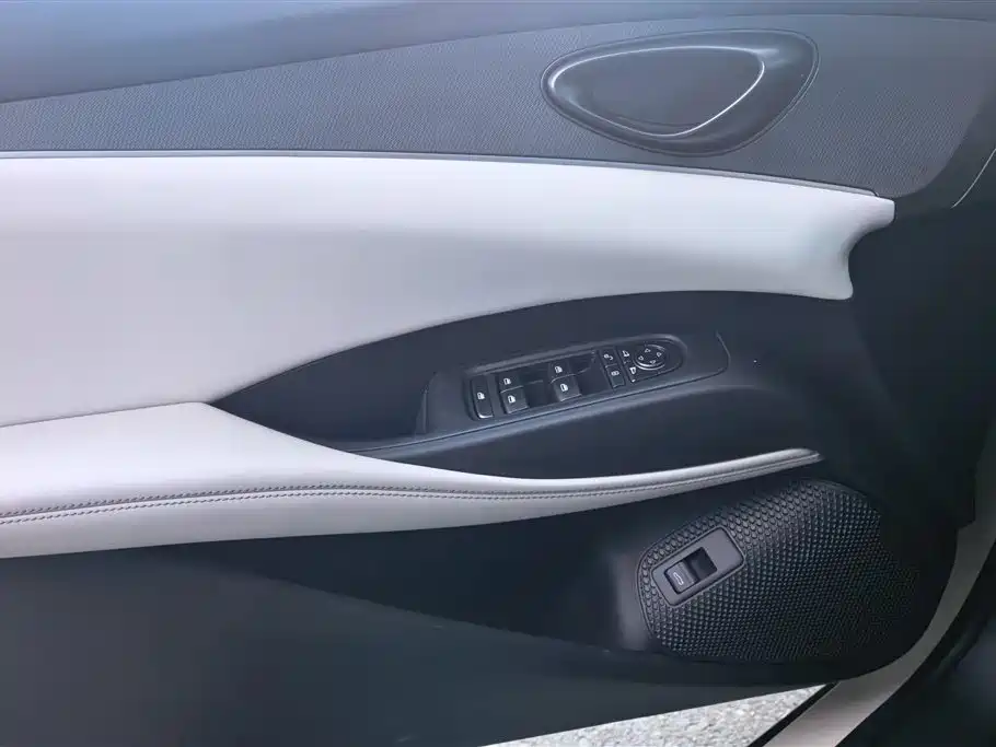 Seal 06 DM-i 80 KM Luxury