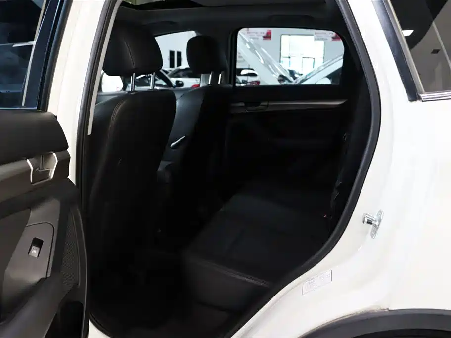 Senova X65 2.0 T Auto Luxury