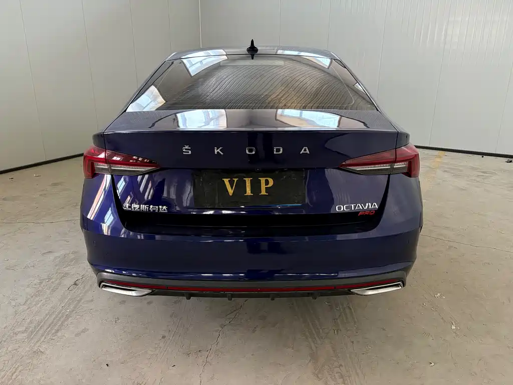 Octavia PRO TSI280 Luxury Enjoyment