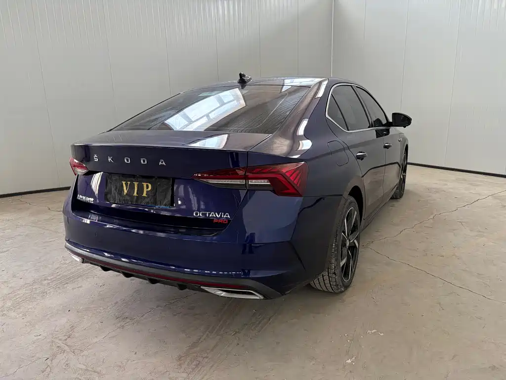 Octavia PRO TSI280 Luxury Enjoyment
