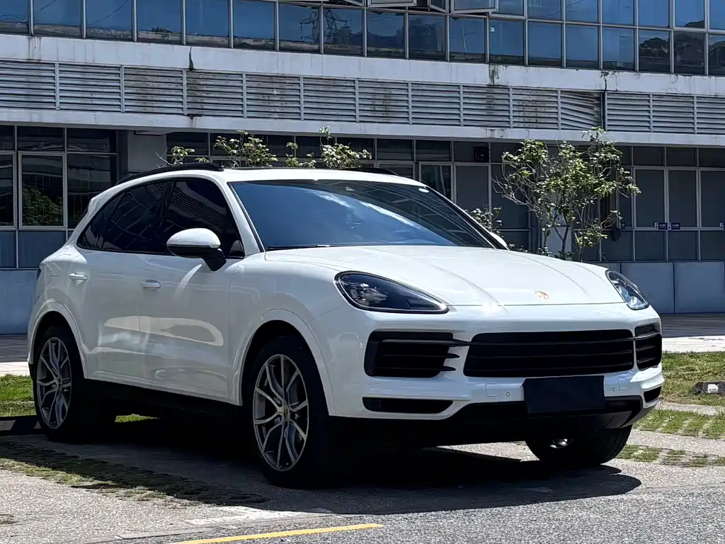 Cayenne Cayenne 3.0 T Platinum