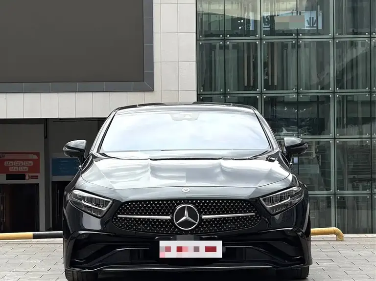 Mercedes-Benz CLS CLS 300 Luxury