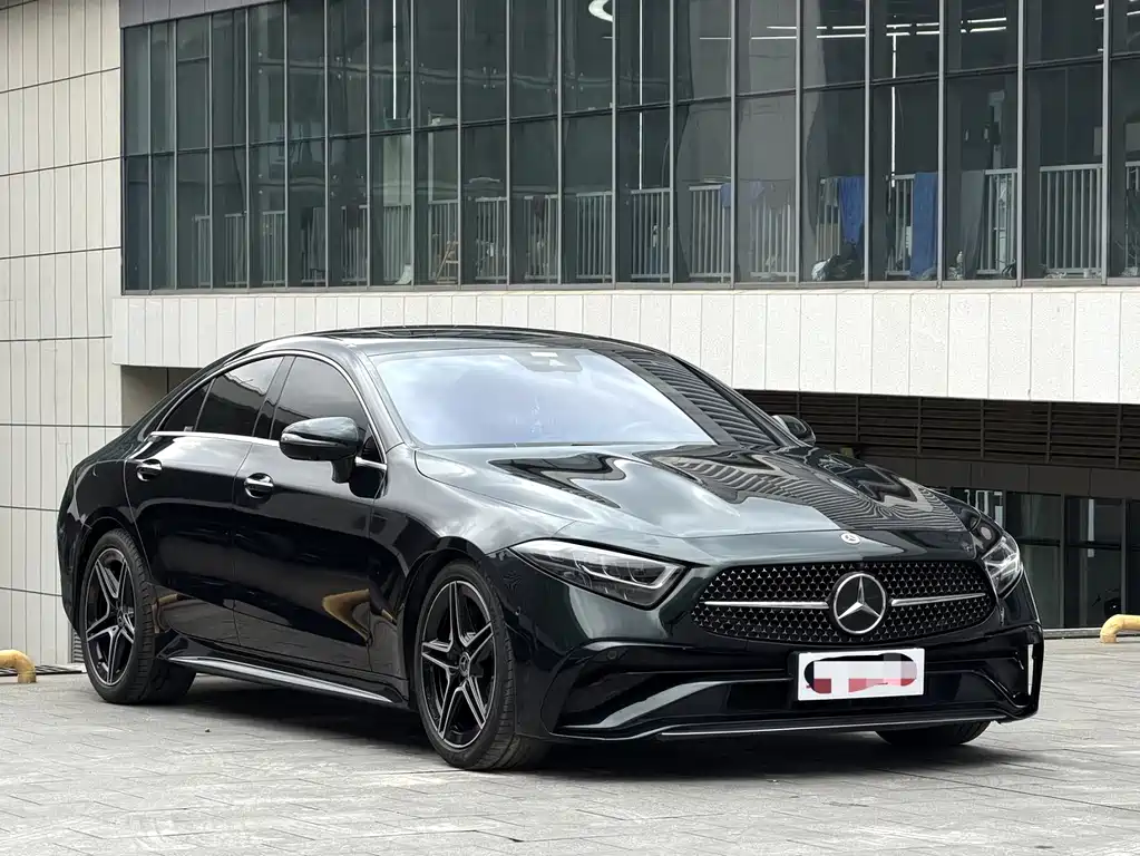 Mercedes-Benz CLS CLS 300 Luxury